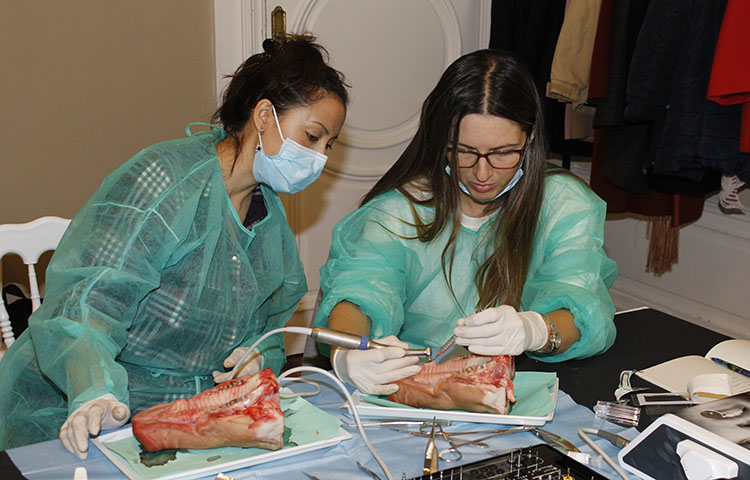 Curso regeneracion osea